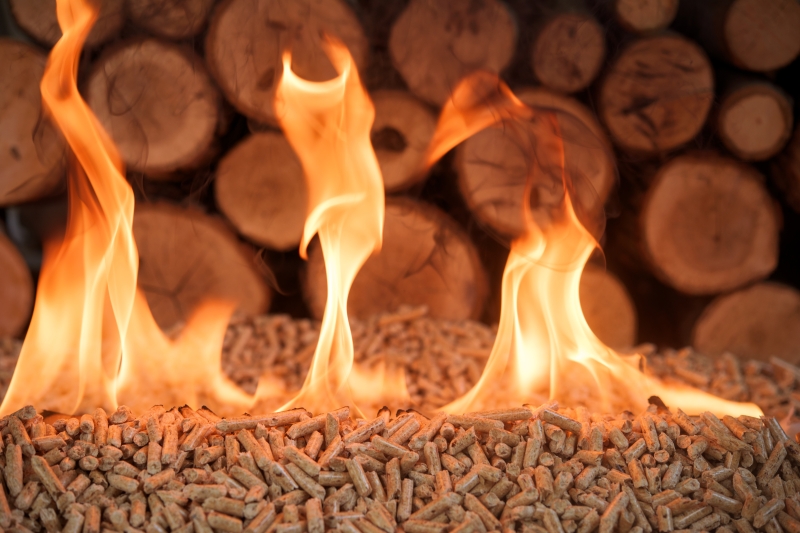 lp_support_shutterstock_1889541283.jpg Fournisseur de bois de chauffage, Marmande