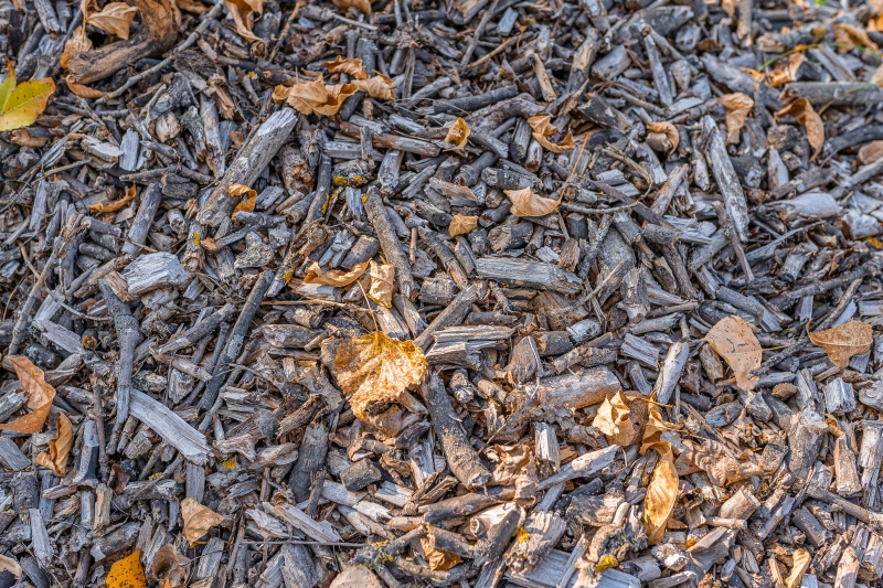lp_support_shutterstock_2057388323.jpg Fournisseur de bois de chauffage, Foulayronnes